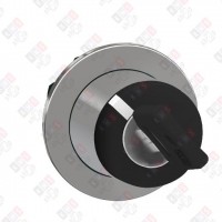 ZB4FG2 ГОЛОВКА ПЕРЕКЛЮЧАТЕЛЯ 2 ПОЗИЦИИ КЛЮЧ ЗАПОДЛИЦО МЕТАЛЛ